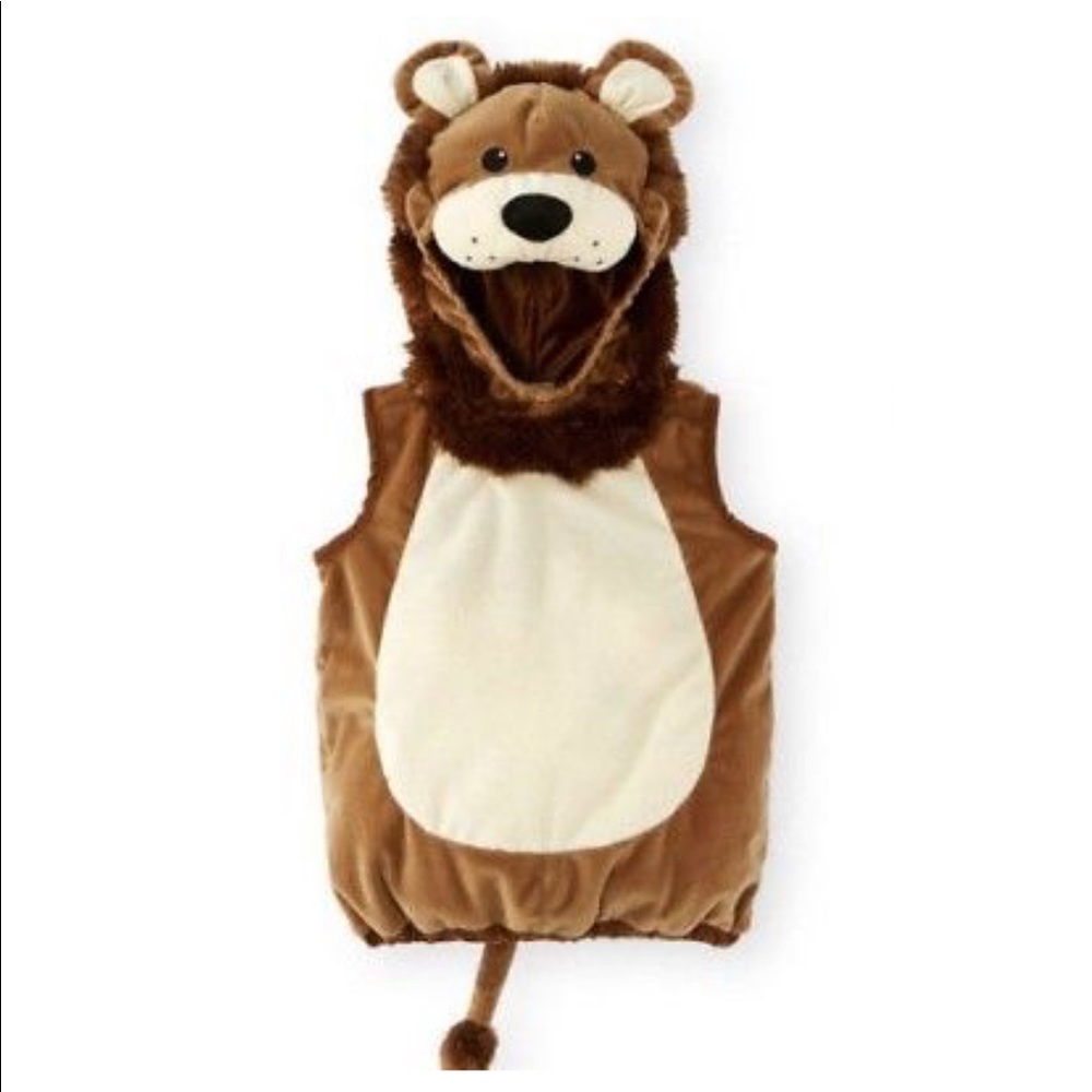 Baby Lion Halloween Costume